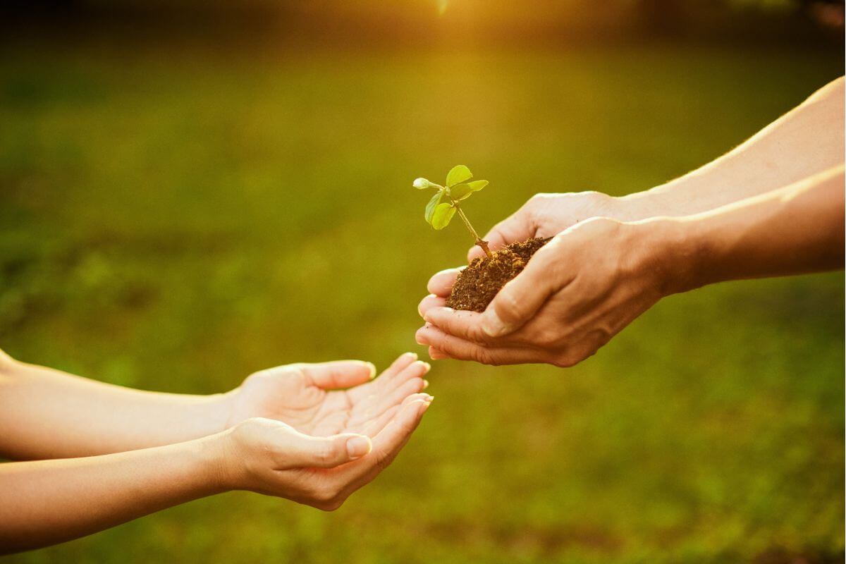 Como Cultivar Leveza Mesmo em Meio aos Dias Difíceis